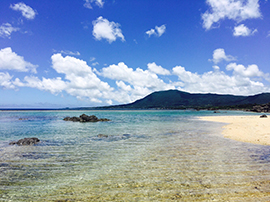 畦プリンスビーチ